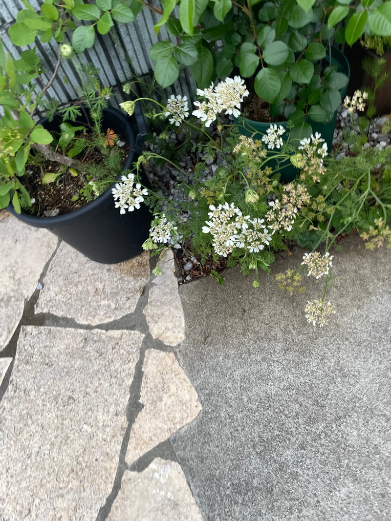 美容室の画像