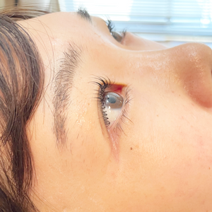 fallback text for an image